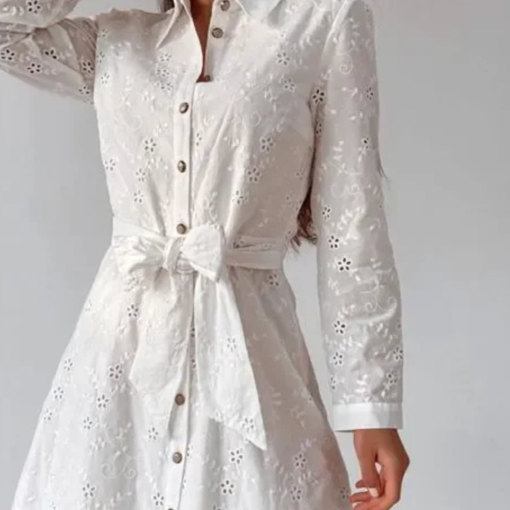 Zara Delicate Eyelet Collared Button Up Shirt Dress Size 4